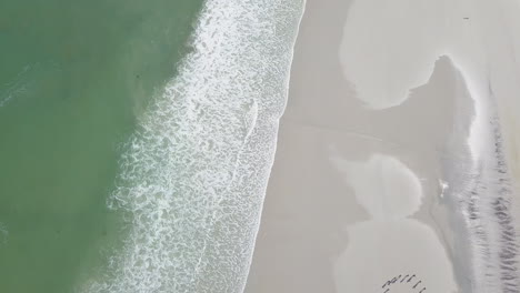 dramatic aerial of surfing along coast in south africa
