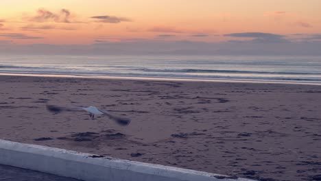 a seagull flying away from a oceanfront pavement towards a spectacular sunset