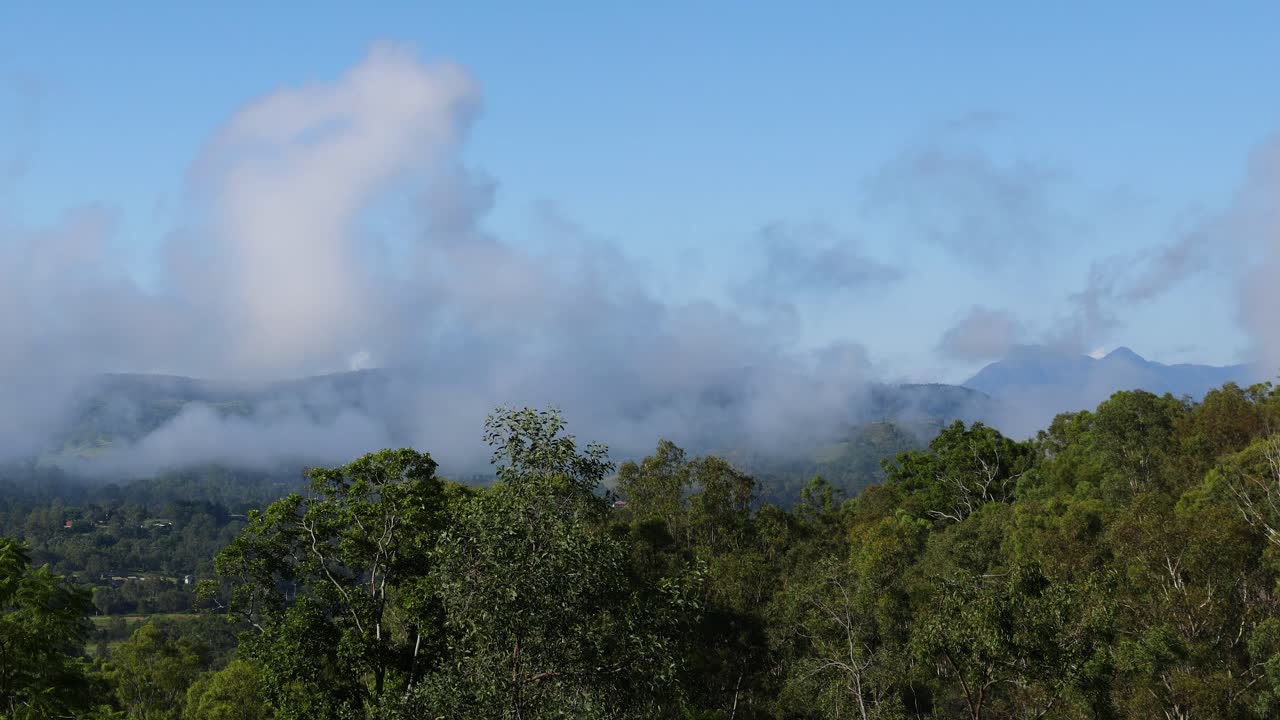 lapso de tiempo de las nubes que se dispersan sobre el bosque verde