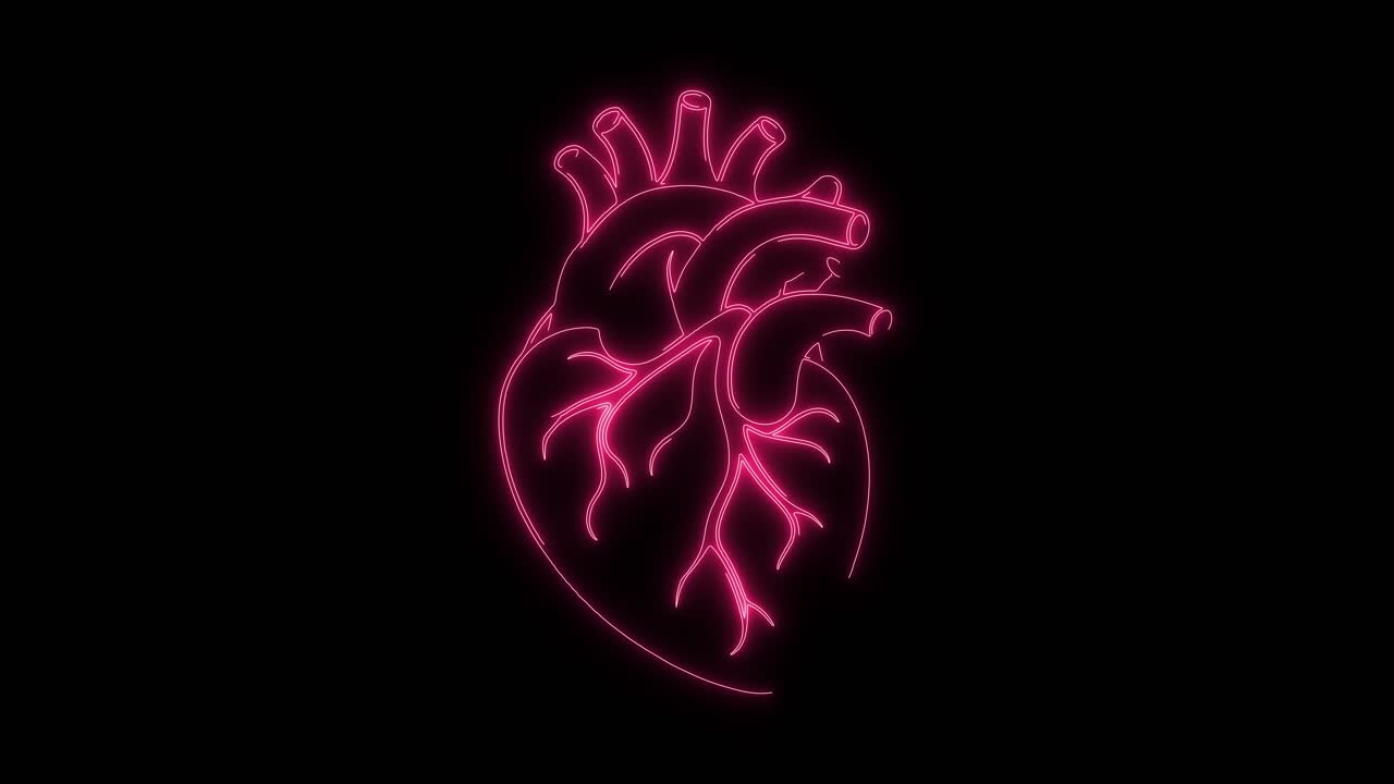 Animación de Contorno de Corazón Humano de Neón Rosa Resplandeciente