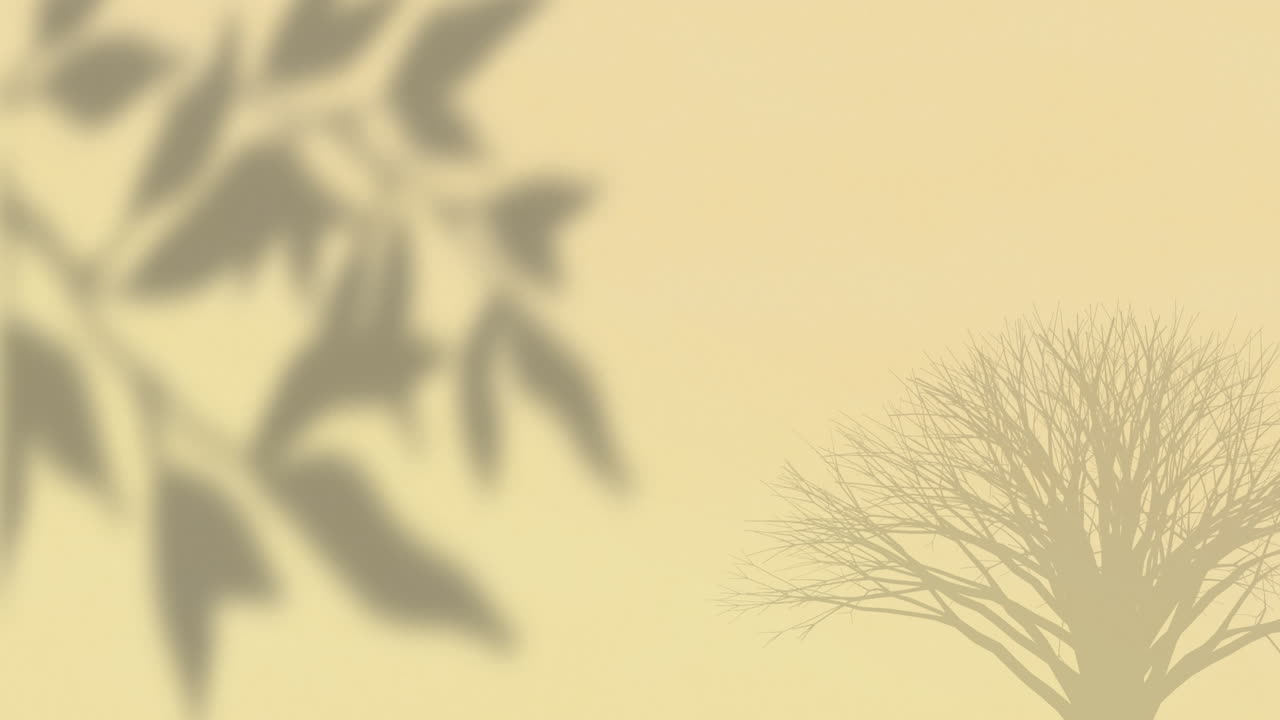 베이지색 배경에 있는 식물의 그림자의 애니메이션
