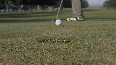 Golfer-misses-putt-on-the-green,-low-shot-and-slow-motion