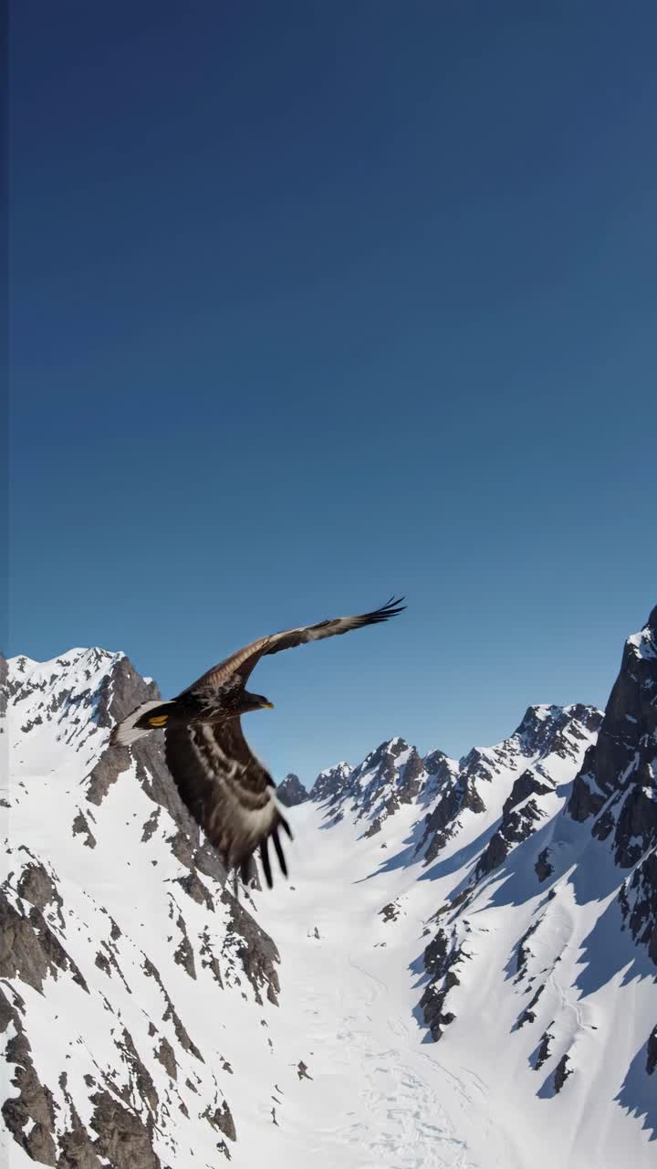 A majestic eagle soars over snow-capped mountains, captured from a low-angle shot, evoking a sense