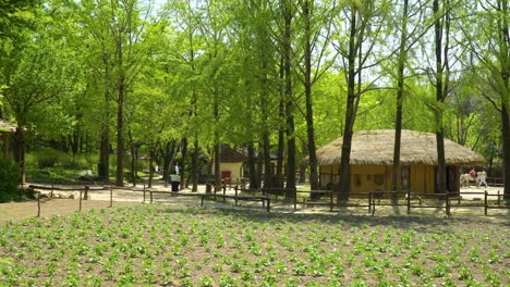 korean folk village in summer yongin city, seoul, south korea