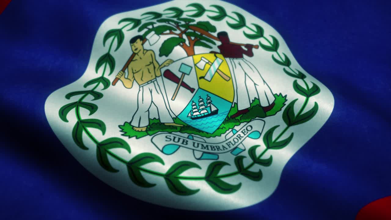 바람에 흔들리는 벨리즈 발: 벨리즈의 국기, 벨리즈의 표지, 이없는 루프 애니메이션