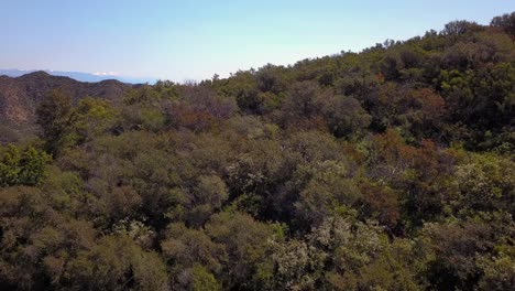 Vista-Aérea-De-Las-Montañas-De-Santa-Mónica-Y-El-Horizonte-De-Los-ángeles-California-4k-Drone