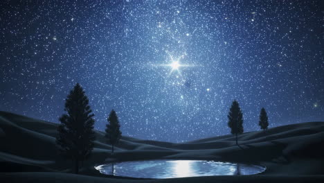 starry night landscape with pond