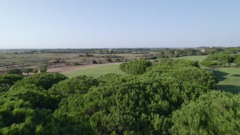 Golfplatz,-Fairwayboden-Und-Gras