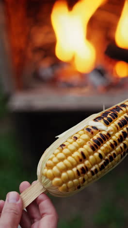 grilled corn on the cob by the campfire