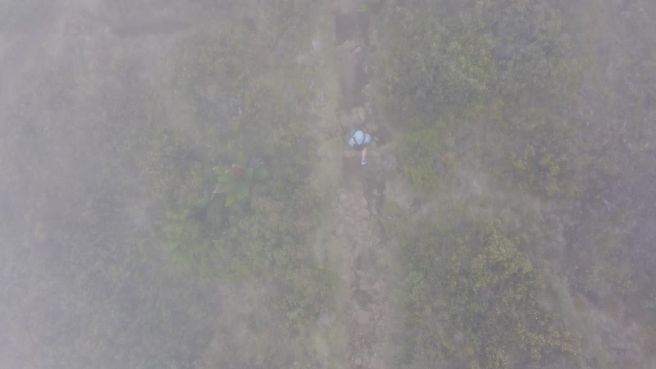 Boy walking through the mist at Haleakala volcano