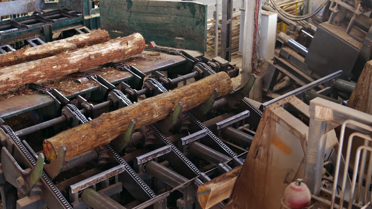 Automated wood cutting machine. Power-saw bench. Industrial woodworking machinery on a sawmill. Sawing timber.