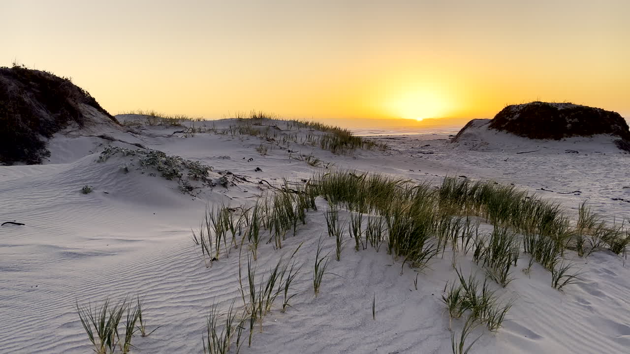 Valkoisia hiekkadyynejä rannikkokasvillisuudella ja keltainen auringonlaskun taivas Grotto Beachillä.