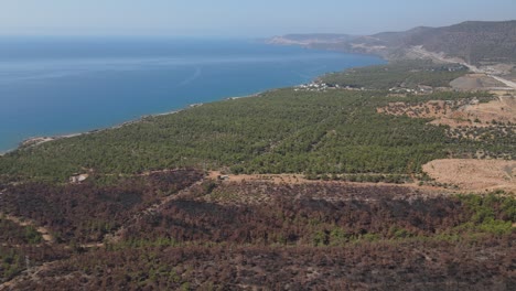 Küstenwald-Verbrannte-Luftaufnahme