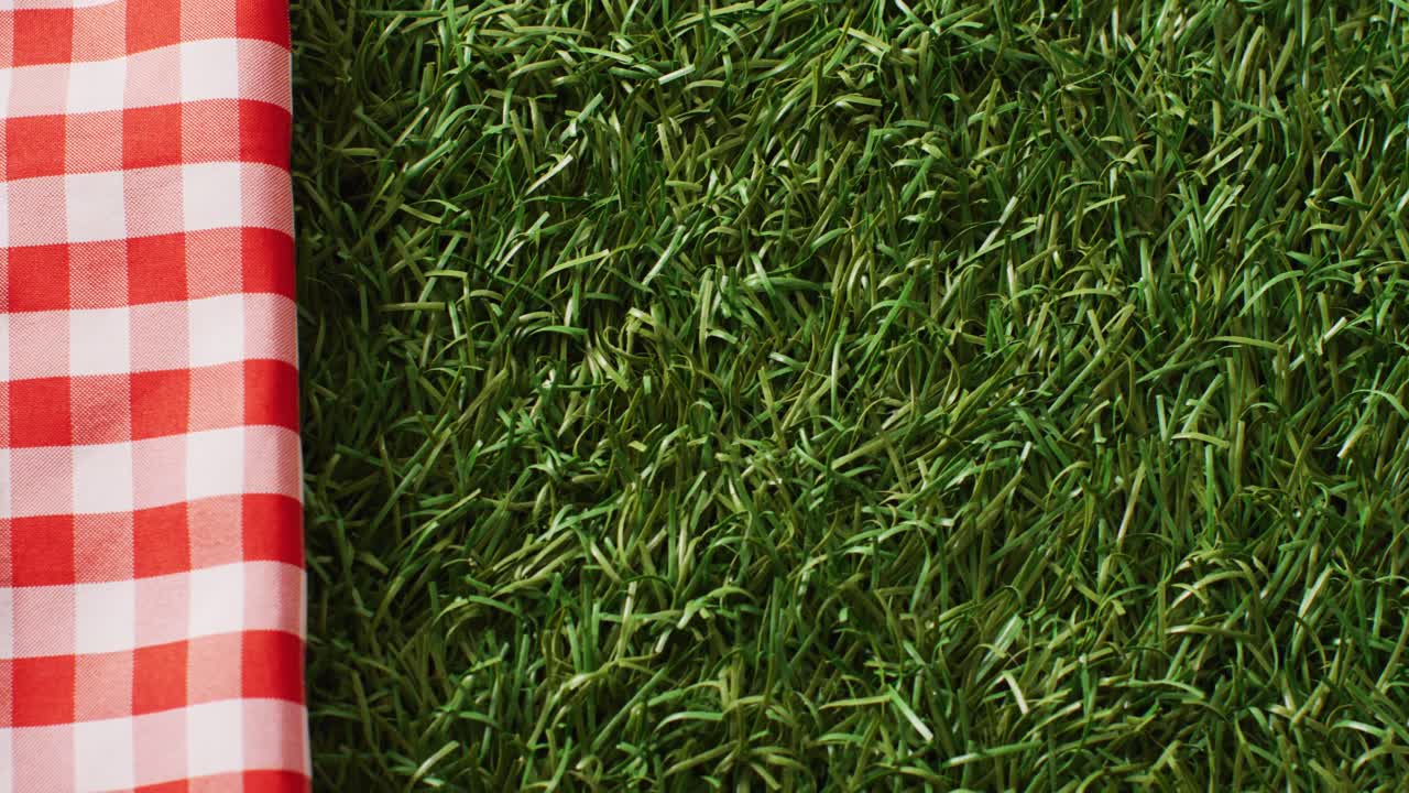 잔디에 복사 공간과 함께 gingham 테이블 클로스의 비디오