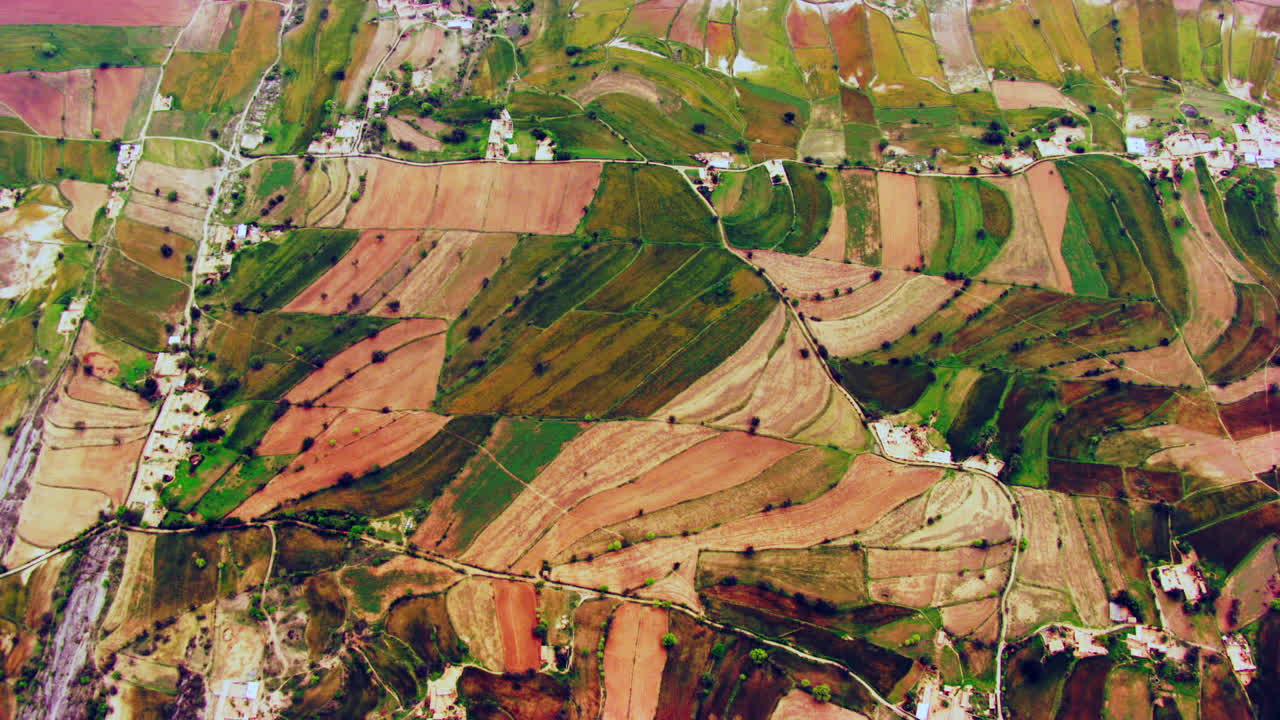 vista aérea de un río, cultivos agrícolas que crecen en tierras de cultivo, india