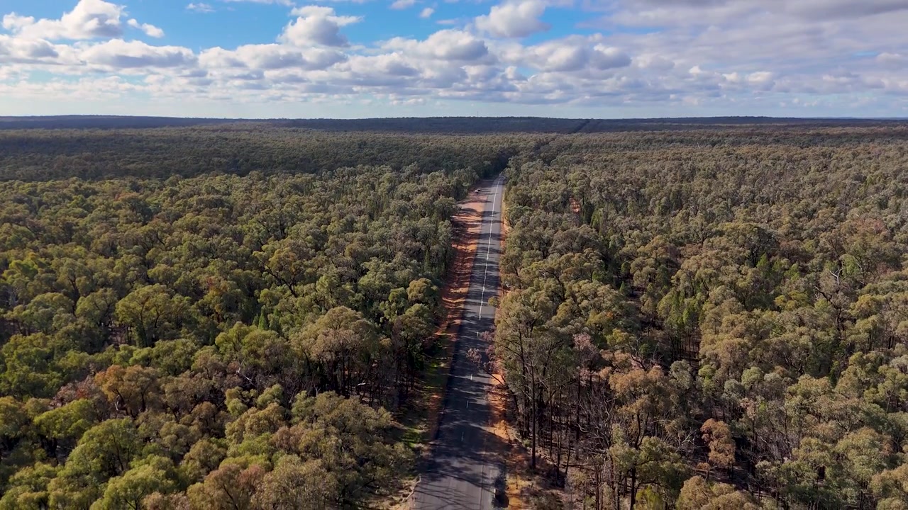Prise de vue par drone en plongée d'une route asphaltée isolée traversant une brousse australienne dense.