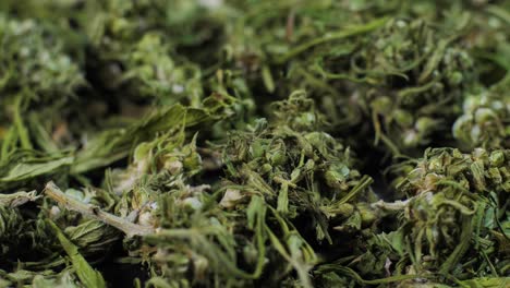 cogollos y hojas de marihuana medicinal