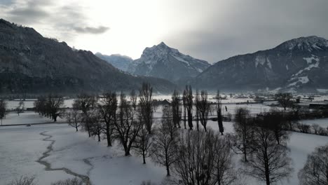 Walensee-Schweiz-Waldpark-Mit-Sonne-Durchstoßen