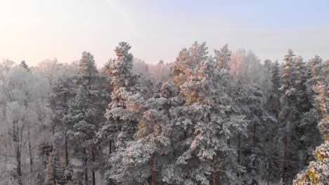 Drone-flying-over-woods-in-Sweden