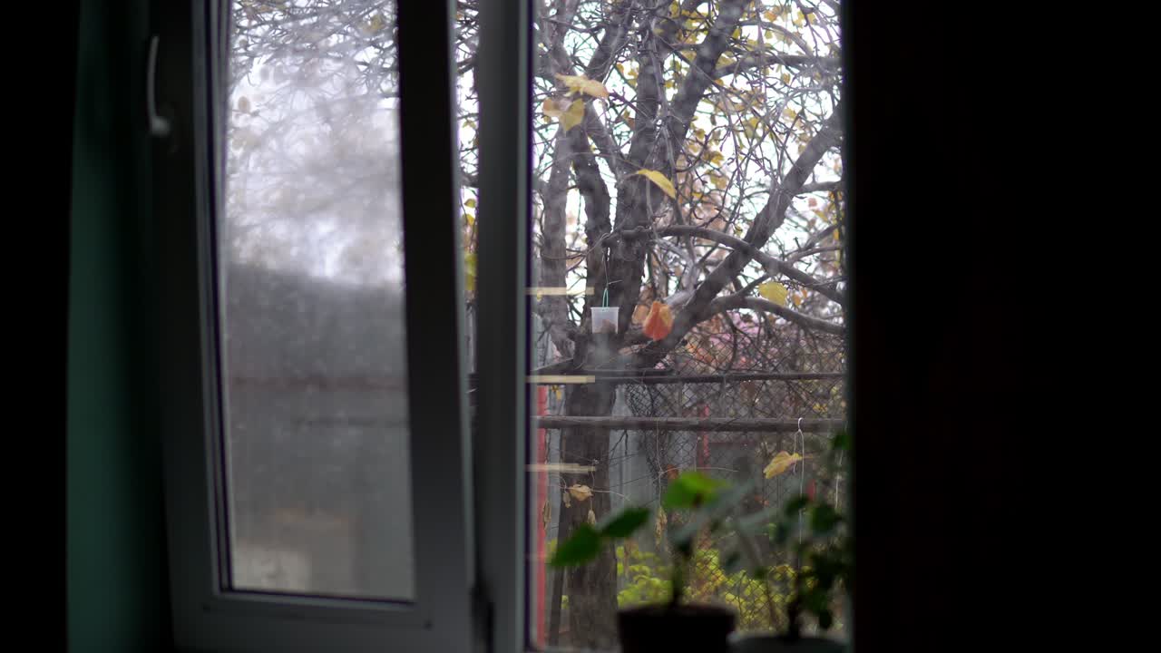 clima nublado y lluvia fuera de la ventana. ventana húmeda y brumosa con piedras que gotean.