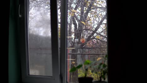 cloudy weather and rain outside the window. wet and misted window with dripping stones.