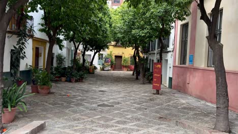 charming cobblestone street in seville’s santa cruz quarter, lined with orange trees, traditional houses, and a peaceful, historic atmosphere