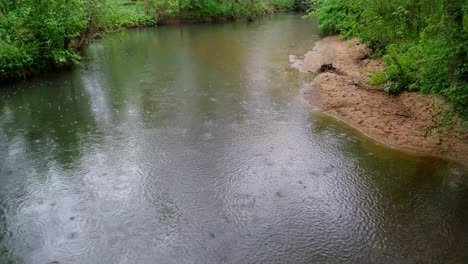 Un-Día-Lluvioso-De-Primavera-En-Un-Río-Y-En-El-Bosque