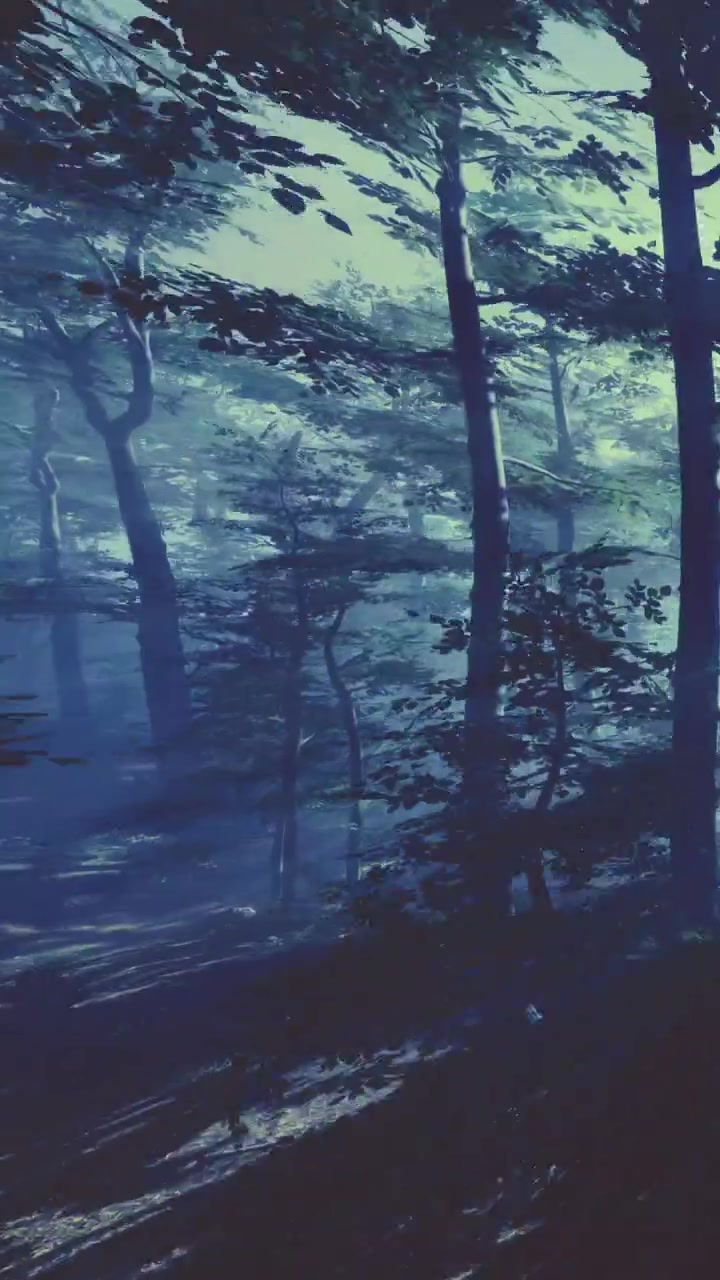 La luce filtra tra gli alberi in una foresta nelle prime ore del mattino.