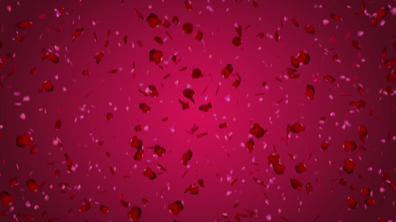 fondo gráfico de movimiento estacional de alta calidad que celebra el día de san valentín, con un esquema de color rosa y rojo, y pétalos de rosa rojos y rosas que caen - agregue su propio texto