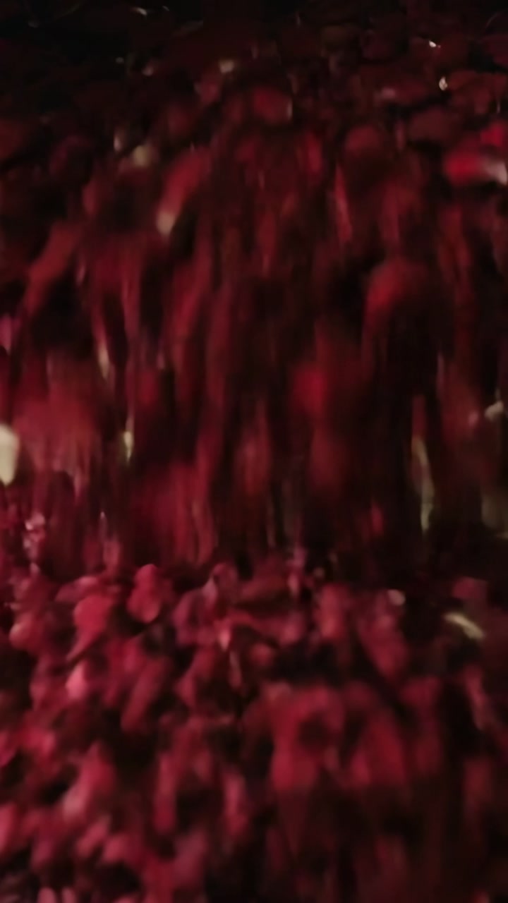 Vertical video: Tilting metal bucket spilling red and pink petals onto beige map, forming pile