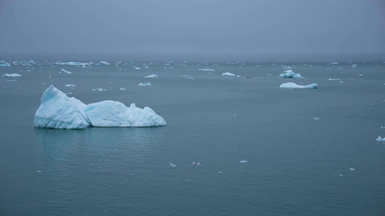 은 날에 추운 북극 바다에서 빙산과 얼음 조각으로 항해하는 것