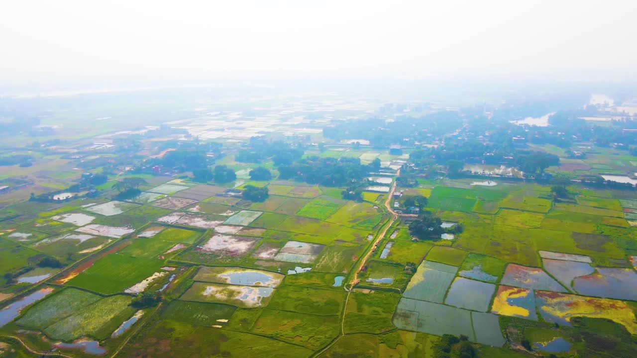 Drone view of a rural area of Bangladesh with wetland rice cultivation