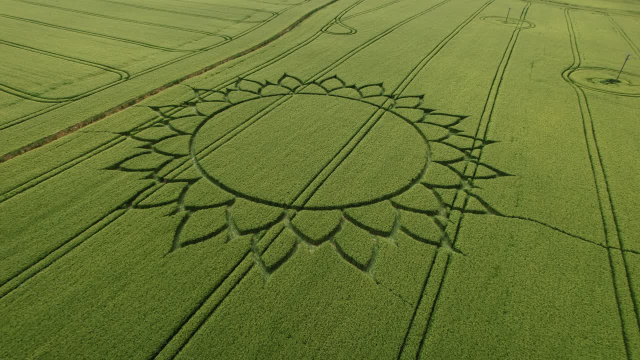 hermoso diseño de círculo floral de cultivos en tierras de cultivo, vista aérea de drones