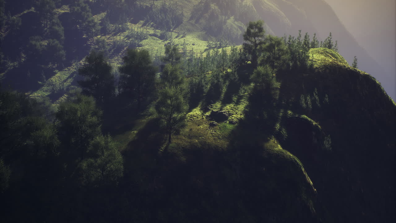 Vast green hills with shadows cast by trees during early morning light