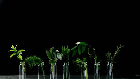 Various-herbs-in-bottle-4k