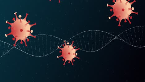 animation of covid 19 cells moving and dna strand spinning