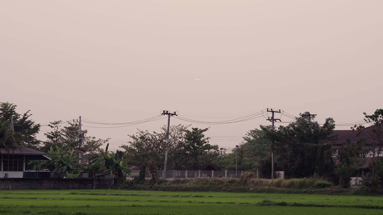 Rural Landscape with Rice Field, Houses, and Power Lines at Sunset