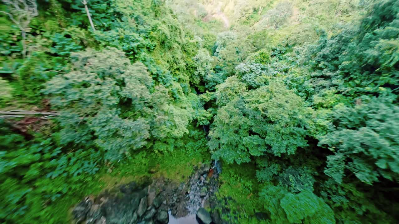 un dron fpv épico se sumerge en una cascada remota en la densa selva tropical, la libertad