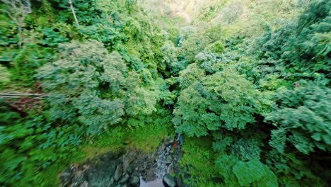 epic fpv drone dive down remote waterfall in dense rainforest jungle, freedom