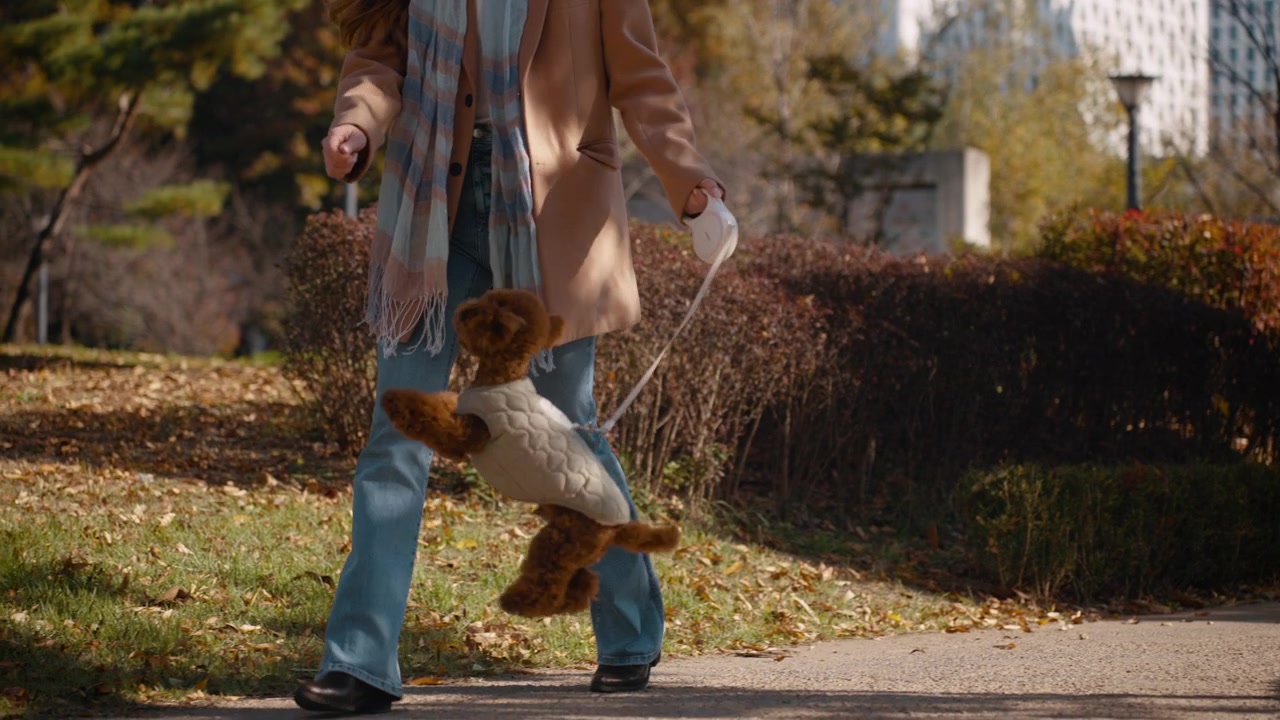 A woman walks her small brown toy poodle on a leash through a vibrant autumn park walkway in slow motion