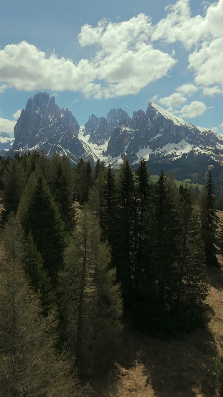 Ripresa aerea verticale che mostra il Gruppo del Sassolungo nelle Dolomiti, Italia, con un primo piano di fitta foresta e prati aperti sotto un cielo parzialmente nuvoloso.