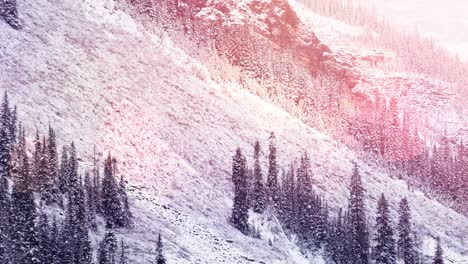 spots of light and snow falling over winter landscape with trees and mountains