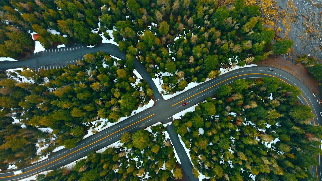Two highways cross in the pine-tree wood. Few cars move by the roads in National Park Mount Rainer, Washington State, the USA. Top view.