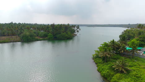 Morning-lakeshores-with-coconut-trees