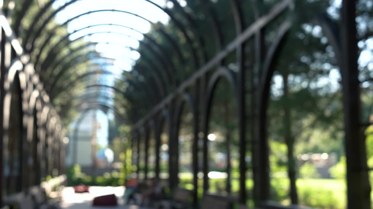 el parque de verano borroso y la gente.