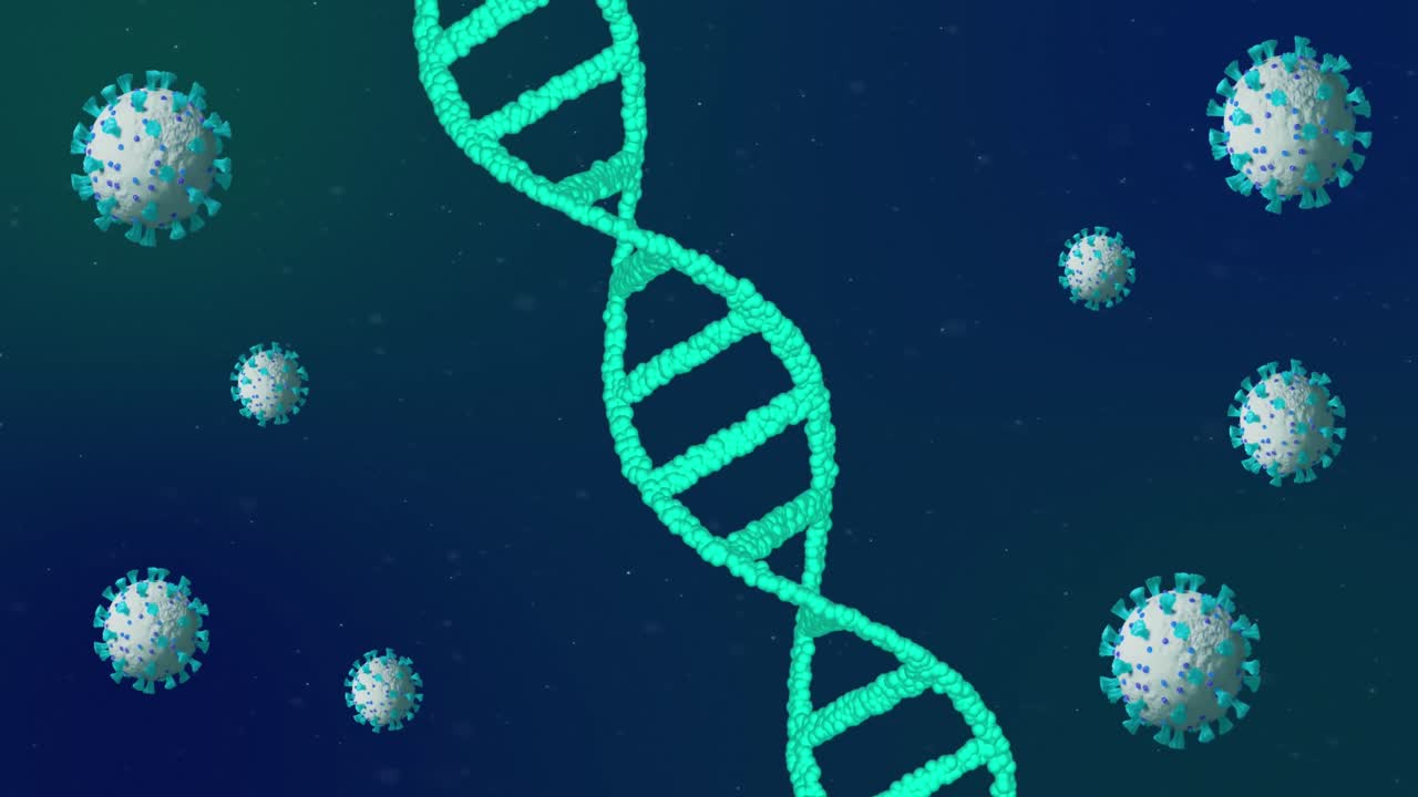 Animation of covid 19 cells moving and dna strand spinning