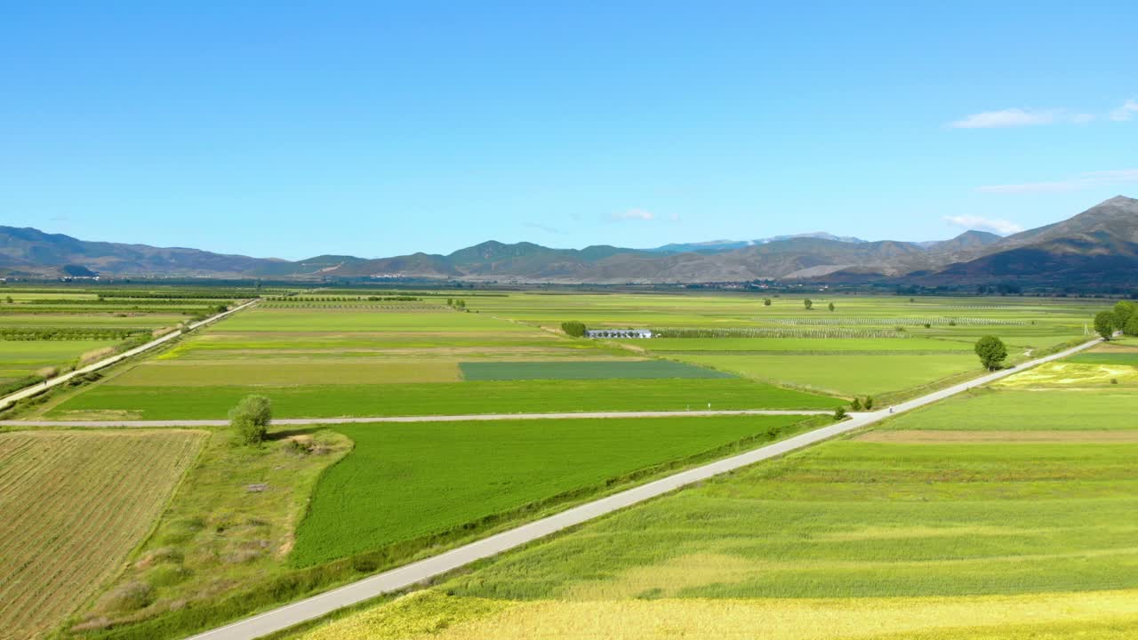 Stunning landscape with green yellow plantation bordered by mountains horizon on bright blue morning sky