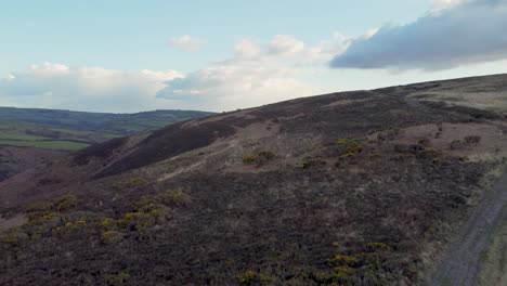 Aufsteigende-Luftaufnahme-über-Exmoor-Mit-Gelben-Brombeersträuchern-Und-Strahlend-Blauem-Himmel-Und-Wolken