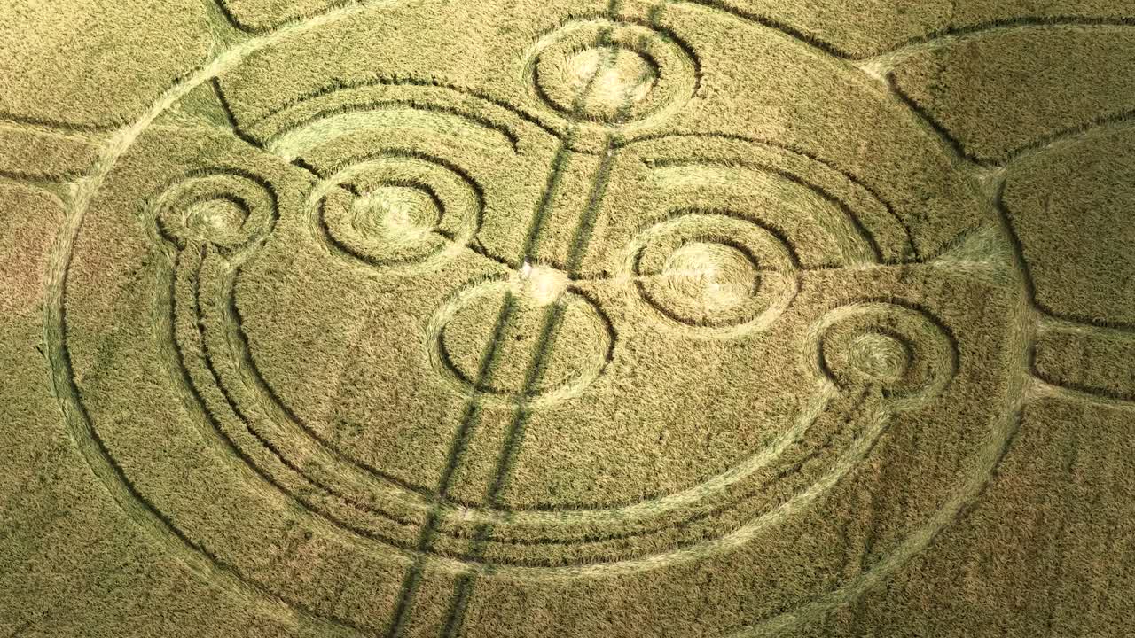 Aerial view rotating above smiling joker face in golden Wiltshire crop circle harvest