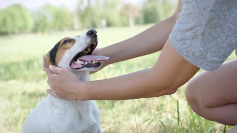 woman with her dog on the grass